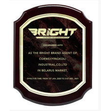 Станок (стенд) шиномонтажный  BRIGHT LC850 - 380В