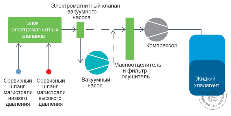 010.jpg