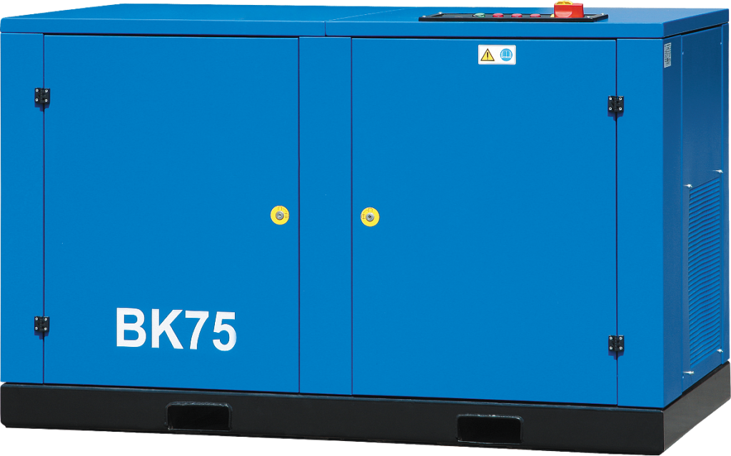 Безмаслянные, винтовые Ремеза